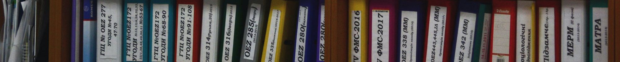 shelving with coloured binders