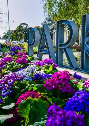 Dandenong Park